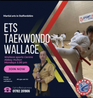 ETS Taekwondo  Photo