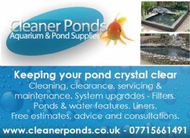 Cleaner Ponds Photo