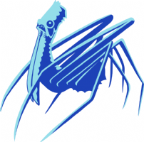 PelicanSpiderLtd Photo