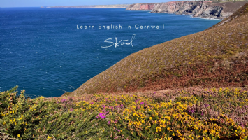 Skool Cornwall  Photo