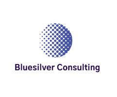 Bluesilver Consulting Photo