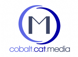 Cobalt Cat Media Photo