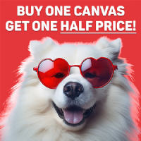 Canvas Printing Co Ltd Photo