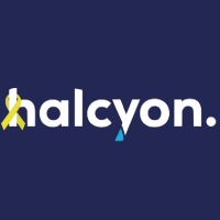 Halcyon IT Photo