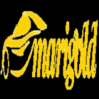 Marigold Services Photo