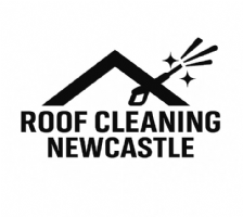 Roof Cleaning Newcastle Photo