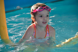 Les Petits Dauphins Photo