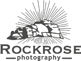 Rockrose photography Photo