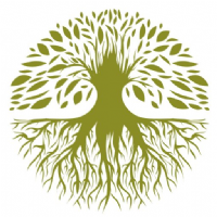 LH Tree Surgeon Photo