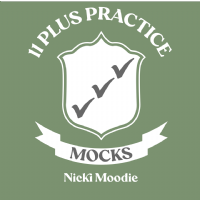 11 Plus Practice Photo