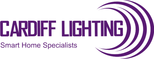 Cardiff Lighting Photo