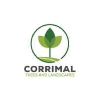 Corrimal Trees & Landscapes Photo