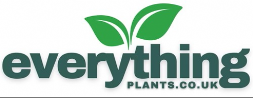 Everything Plants / Bannister Hall Ltd Photo