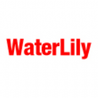 WaterLily Photo