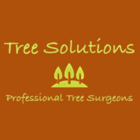 Tree Solutions Photo