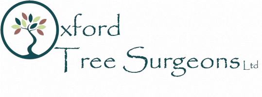 Oxford Tree Surgeons Photo