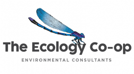 The Ecology Co-op Photo