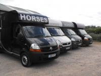 Racemaster horseboxes Photo