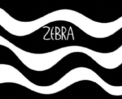 Zebra Photo