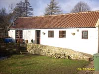 Diving Duckling Cottage Photo