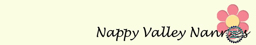 Nappy Valley Nannies Photo